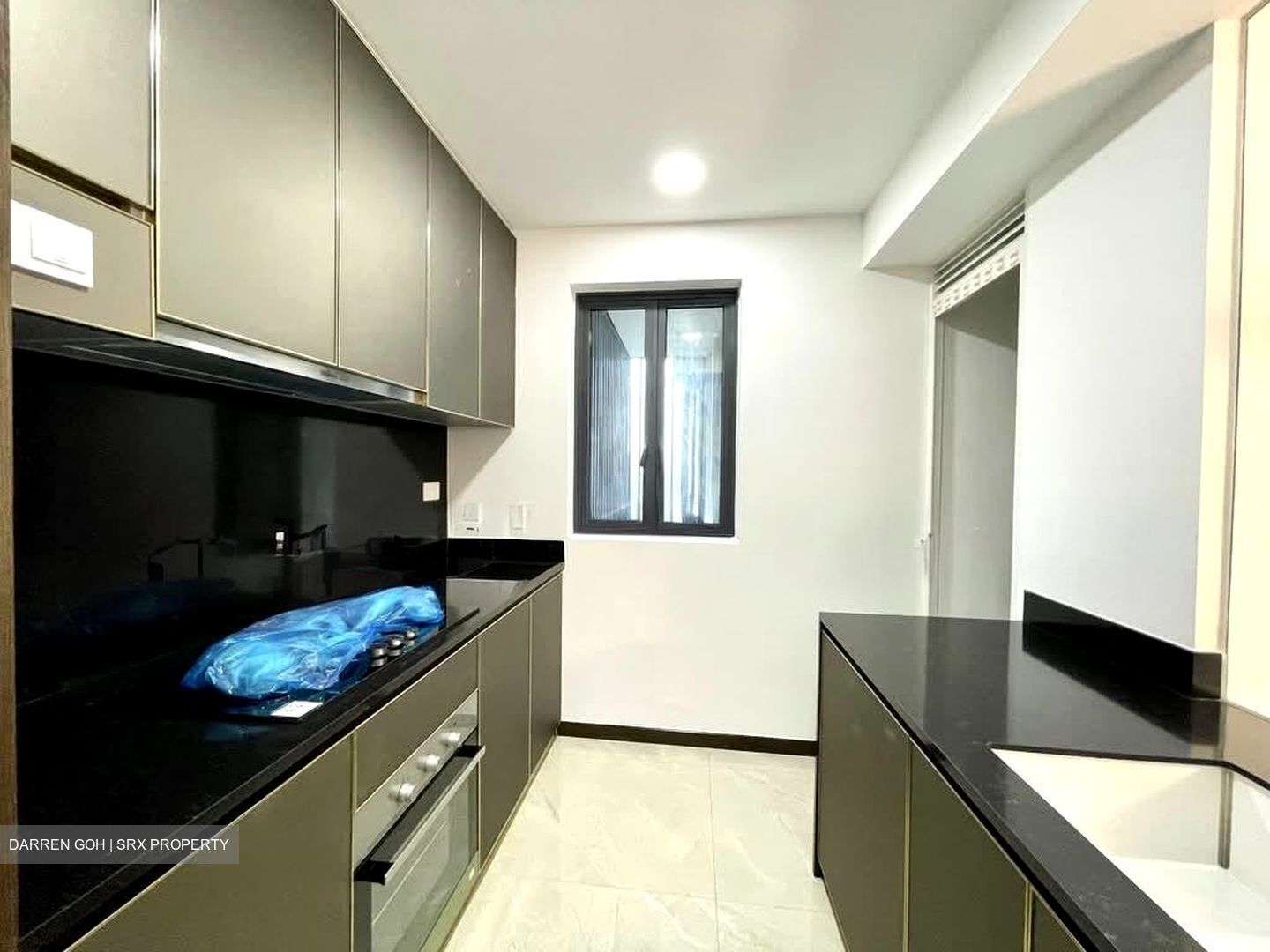 Normanton Park (D5), Apartment #556168151